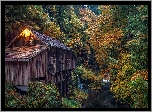 Stany Zjednoczone, Stan Washington, Woodland, Młyn Cedar Creek Grist Mill, Rzeka, Las, Jesień