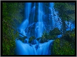 Stany Zjednoczone, Stan Waszyngton, Wodospad Fall Creek Falls, Las,  Gifford Pinchot National Forest