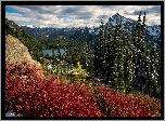 Stany Zjednoczone, Stan Waszyngton, Park Narodowy Mount Rainier, Góry, Lasy, Jezioro, Drzewa, Chmury