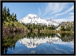 Stany Zjednoczone, Stan Waszyngton, Góry, Stratowulkan Mount Rainier, Drzewa, Jezioro Bench Lake, Odbicie