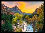 Stany Zjednoczone, Stan Utah, Park Narodowy Zion, Góry Watchman, Rzeka Virgin River, Kamienie, Drzewa, Wschód słońca