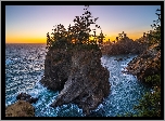 Stany Zjednoczone, Oregon, Morze, Skały, Drzewa, Wysepka, Wybrzeże, Promienie słońca, Park stanowy, Samuel H. Boardman State Scenic Corridor