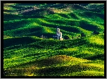 Wzgórza, Drzewa, Łąki, Pola, Budowla, Steptoe Butte State Park, Region Palouse, Stan Waszyngton, Stany Zjednoczone