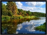 Staw