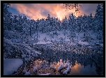 Norwegia, Staw, Gmina Ringerike, Zima, Drzewa, Śnieg