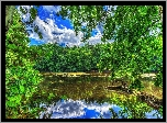 Staw, Drzewa, Odbicie, Park