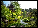 Ogród, Staw, Japonia