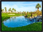 Pole golfowe, Staw, Kamienie, Palmy, Miejscowość Palm Springs, Kalifornia, Stany Zjednoczone