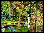 Park, Staw, Altana