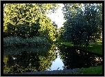 Park, Staw, Drzewa