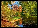 Park, Staw, Jesień