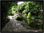 Park, Staw, Mostek