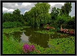 Park, Staw, Roślinność