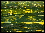 Wzgórza, Łąki, Pola, Steptoe Butte State Park, Region Palouse, Stan Waszyngton, Stany Zjednoczone