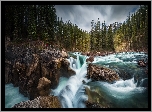 Wodospad Sunwapta Falls, Rzeka, Sunwapta River, Park Narodowy Jasper, Skały, Głazy, Drzewa, Alberta, Kanada