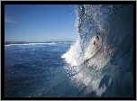 Surfing, Ocean