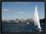 Australia, Sydney, Miasto, Zatoka, Motorówka, Żaglówki