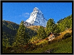 Góry, Szczyt, Matterhorn, Las, Łąka, Szopa, Światło, Cień