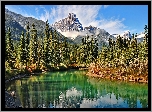 Alpy, Szczyt, Matterhorn, Las, Jezioro, Mgła, Przebijające, Światło