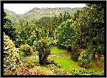 Szkocja, Benmore, Ogród Botaniczny, Argyll, Góry