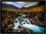 Szkocja, Highland, Góry Cuillin, Kaskada, Potok