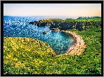 Morze, Skały, Wybrzeże, Zatoka, Plaża, Łąki, Stonehaven, Szkocja