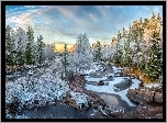 Finlandia, Szron, Rzeka Kiiminkijoki, Kamienie, Las, Drzewa