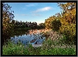 Jezioro, Szuwary, Łódka