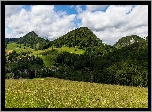 Góry, Lasy, Łąka, Trawa, Domy, Chmury, Kanton Bazylea-Landschaft, Szwajcaria