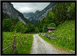 Góry, Alpy Berneńskie, Mgła, Droga, Domek, Drzewa, Ogrodzenie, Gimmelwald, Szwajcaria