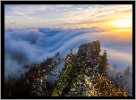 Góry, Góra Belchenflue, Mgła, Drzewa, Wschód słońca, Kanton Bazylea, Szwajcaria