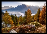 Szwajcaria, Gryzonia, Dolina Engadyna, Góry, Jesień, Skały, Drzewa, Wschód słońca, Promienie słońca, Mgła