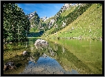 Jezioro Seealpsee, Góry Alpy, Kamienie, Drzewa, Kanton Appenzell Innerrhoden, Szwajcaria