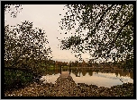 Jesień, Jezioro Katzensee, Drzewa, Pomost, Liście, Kanton Zurych, Szwajcaria