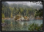 Jezioro Bergsee, Skała, Wysepka, Drzewa, Las, Kanton Berno, Szwajcaria