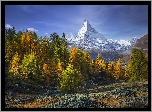 Góry, Alpy, Szczyt Matterhorn, Drzewa, Las, Jesień, Szwajcaria