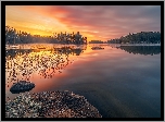 Jezioro, Wetter Lake, Las, Drzewa, Zachód słońca, Szwecja