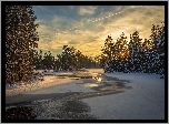 Zima, Rzeka, Las, Drzewa, Śnieg, Rezerwat, Przyrody, Glaskogen, Arvika, Szwecja