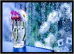 Kwiaty, Szyba, Deszcz