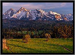 Góry, Ośnieżone, Tatry, Wieś Łapszanka, Lasy, Drzewa, Łąka, Powiat nowatorski, Polska