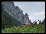 Tatry, Dolina Kościeliska, Szczyty