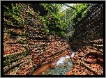 Skały, Wąwóz, Rzeka Taugl, Drzewa, Austria