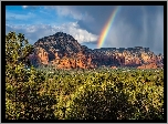 Tęcza, Drzewa, Chmury, Góry, Wilson, Sedona, Arizona, Stany Zjednoczone