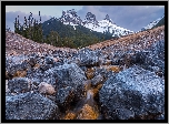 Kanada, Alberta, Góry, Canadian Rockies, Góra, Three Sisters, Kamienie, Potok, Drzewa