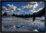 Stany Zjednoczone, Stan Waszyngton, Park Narodowy Mount Rainier, Zima, Jezioro Tipsoo, Las, Promienie Słońca