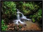 Las, Drzewa, Wodospad, Todtnau Waterfall, Rzeka, Skały, Kamienie, Paprocie, Zieleń, Fryburg Bryzgowijski, Niemcy