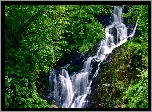 Irlandia, Hrabstwo Kerry, Park Narodowy Killarney, Wodospad Torc, Easach Toirc