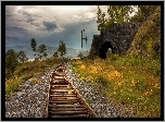 Tor, Kolejowy, Tunel, Rośliny