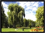 Park, Toronto, Kanada