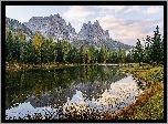 Włochy, Dolomity, Jezioro Lago di Antorno, Góry, Las, Drzewa, Trawa